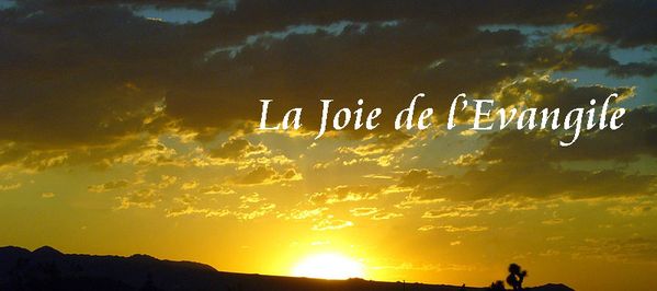 Du 10 au 16 Août 2014 Evangile du jour / méditations Joie-de-l-Evangile