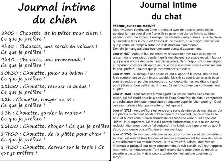 [Image: journal-du-chat_n.jpg]